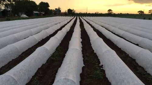 CROP PROTECTION COVER